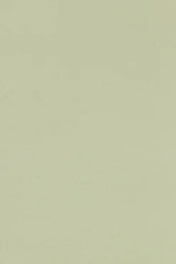 Fashion Sleek Scoop Cami Top Tops|Tank Tops